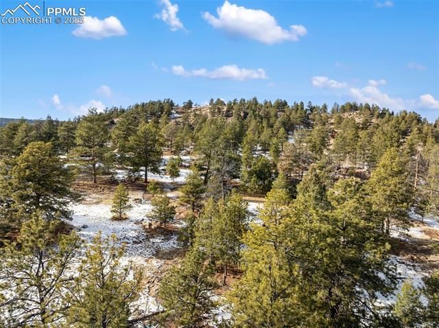 527 Plateau Drive, Guffey, CO 80820