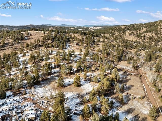 527 Plateau Drive, Guffey, CO 80820