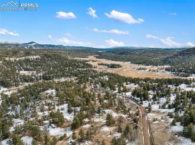527 Plateau Drive, Guffey, CO 80820