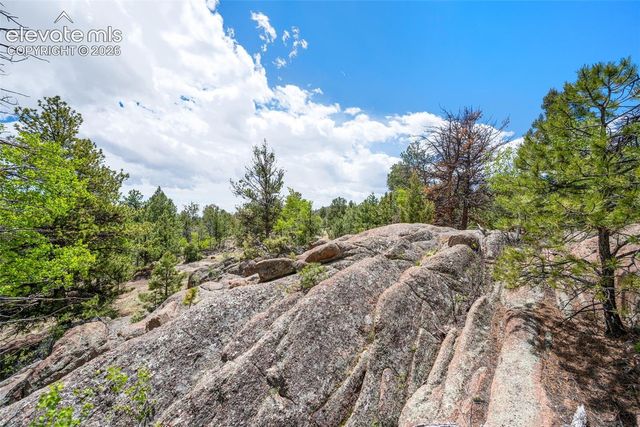527 Plateau Drive, Guffey, CO 80820