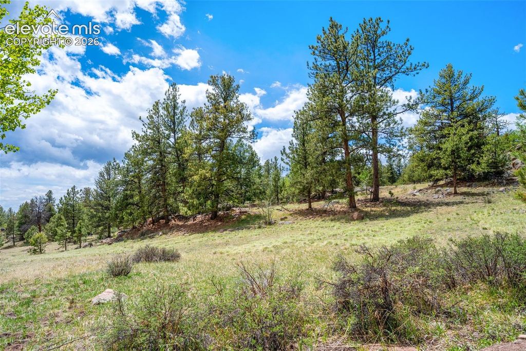 527 Plateau Drive, Guffey, CO 80820