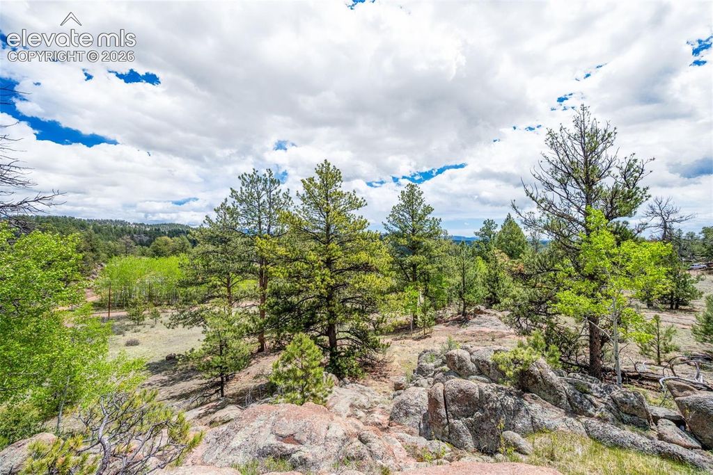527 Plateau Drive, Guffey, CO 80820 — photo 2