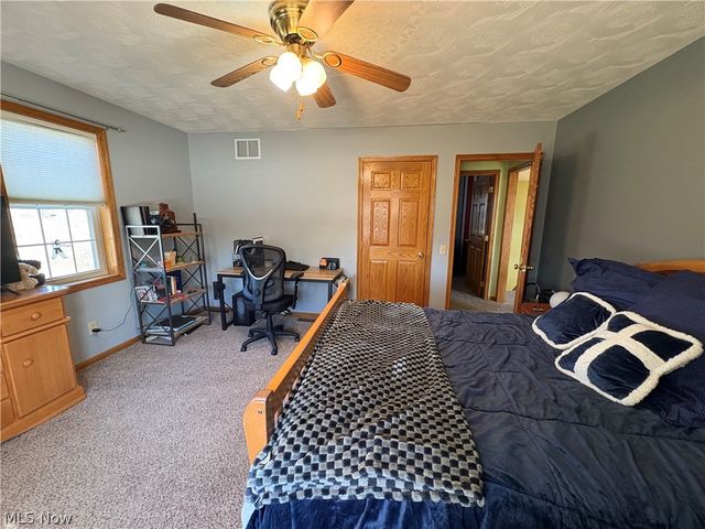 67174 Pancoast Road, Belmont, OH 43718