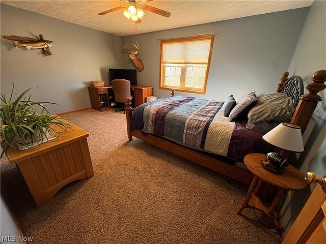 67174 Pancoast Road, Belmont, OH 43718