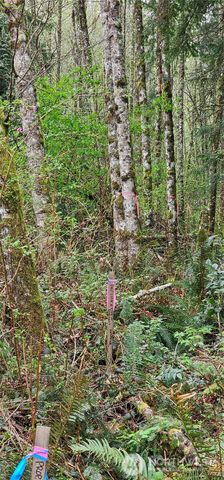 0 House Place, Camano Island, WA 98282