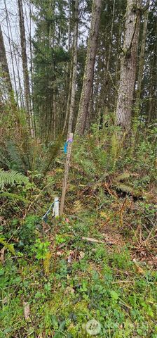 0 House Place, Camano Island, WA 98282