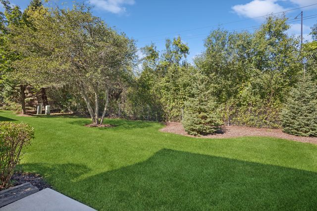 1156 Westminster Lane 1156, Elk Grove Village, IL 60007