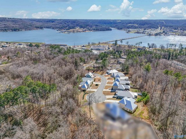 1008 Laurinda Lane, Guntersville, AL 35976