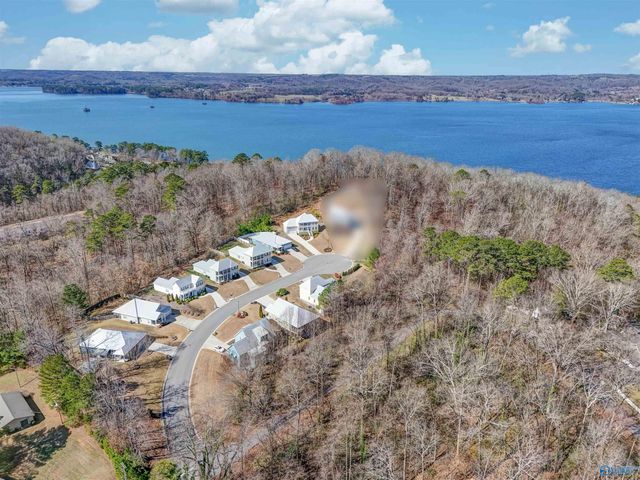 1008 Laurinda Lane, Guntersville, AL 35976