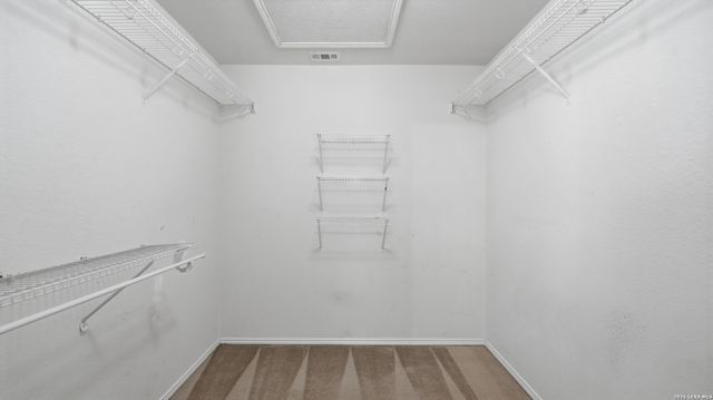 8043 Willow Country, San Antonio, TX 78254