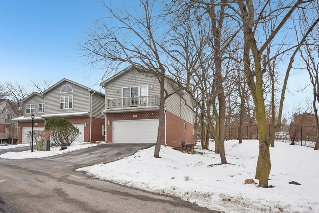 131 Willow Creek Lane, Willow Springs, IL 60480