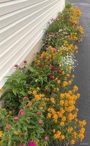 701 E Dent Street, Salem, MO 65560