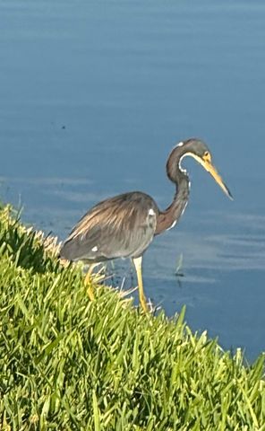 5075 Mirror Lakes Boulevard, Boynton Beach, FL 33472