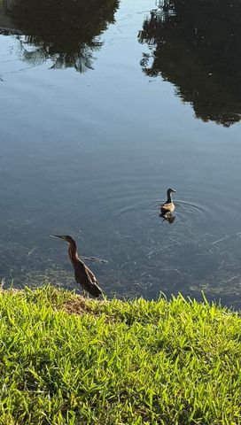 5075 Mirror Lakes Boulevard, Boynton Beach, FL 33472
