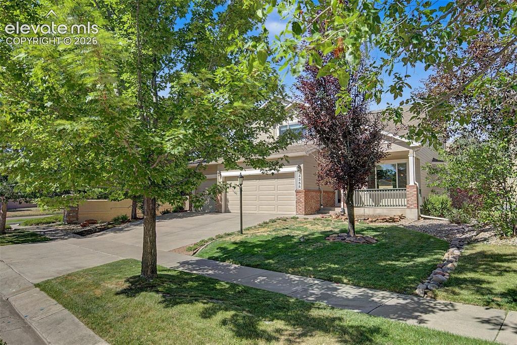 3355 Sand Flower Drive, Colorado Springs, CO 80920 — photo 3