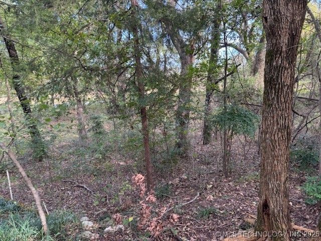 134 Masters, Burneyville, OK 73430