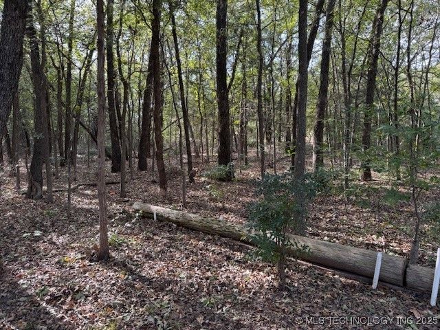 134 Masters, Burneyville, OK 73430