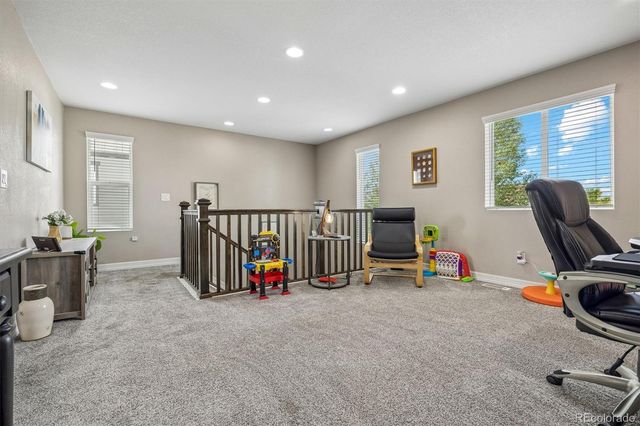 754 Blue Teal Drive, Castle Rock, CO 80104