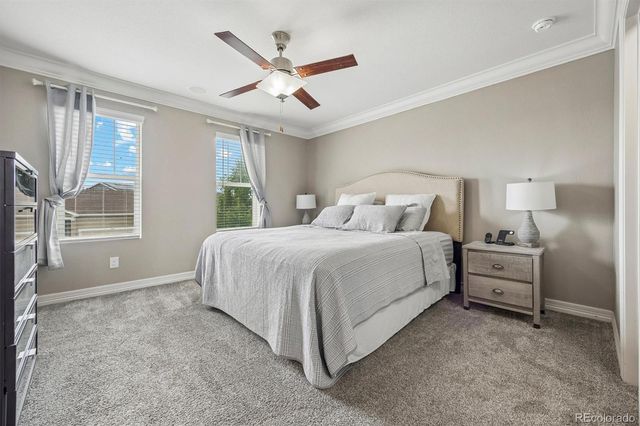 754 Blue Teal Drive, Castle Rock, CO 80104