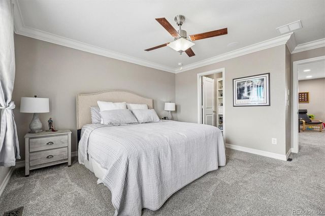 754 Blue Teal Drive, Castle Rock, CO 80104