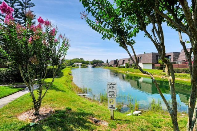 15217 W POND WOODS DRIVE, Tampa, FL 33618