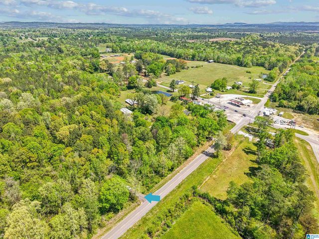 10831 HIGHWAY 42, Shelby, AL 35143