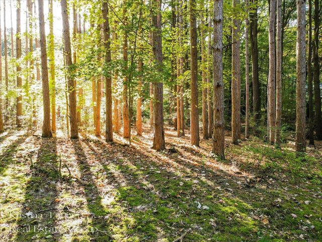 7351 Leonard Street, Ada, MI 49301