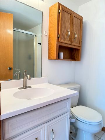 9250 Beloit Avenue 305, Bridgeview, IL 60455