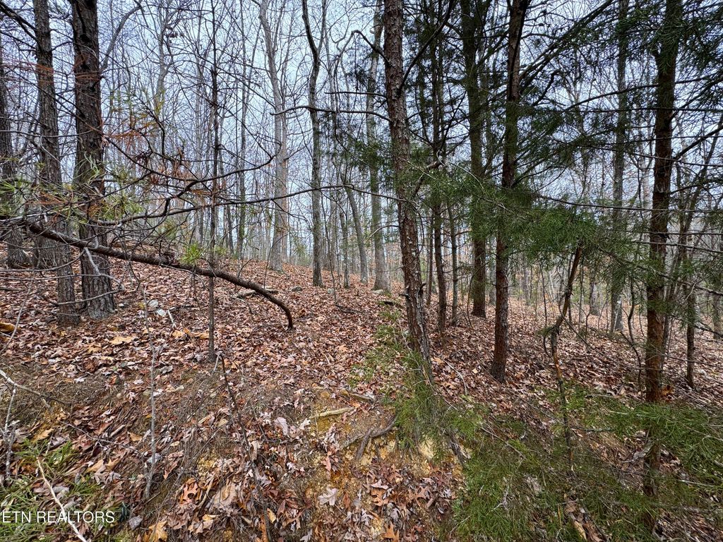 1138 Mayflower Lane, Dandridge, TN 37725