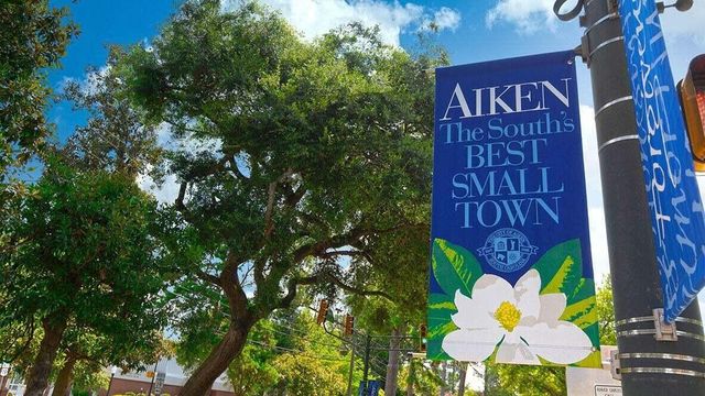 1014 Quaint Parish Circle, Graniteville, SC 29829