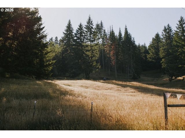 355 BANKS CREEK Rd, Sutherlin, OR 97479