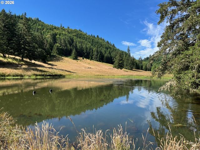 355 BANKS CREEK Rd, Sutherlin, OR 97479