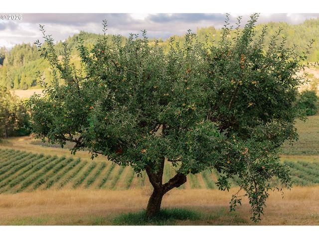 355 BANKS CREEK Rd, Sutherlin, OR 97479