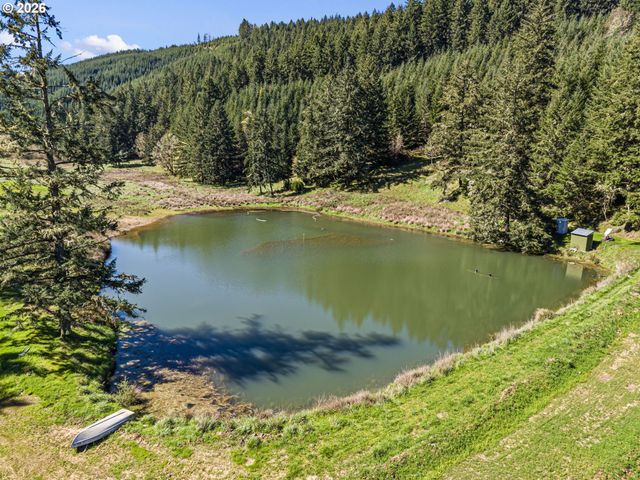 355 BANKS CREEK Rd, Sutherlin, OR 97479