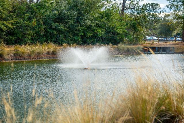 1313 Founders Way, Mount Pleasant, SC 29464