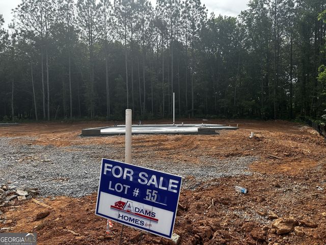 215 Laney Drive LOT 55, Carrollton, GA 30117