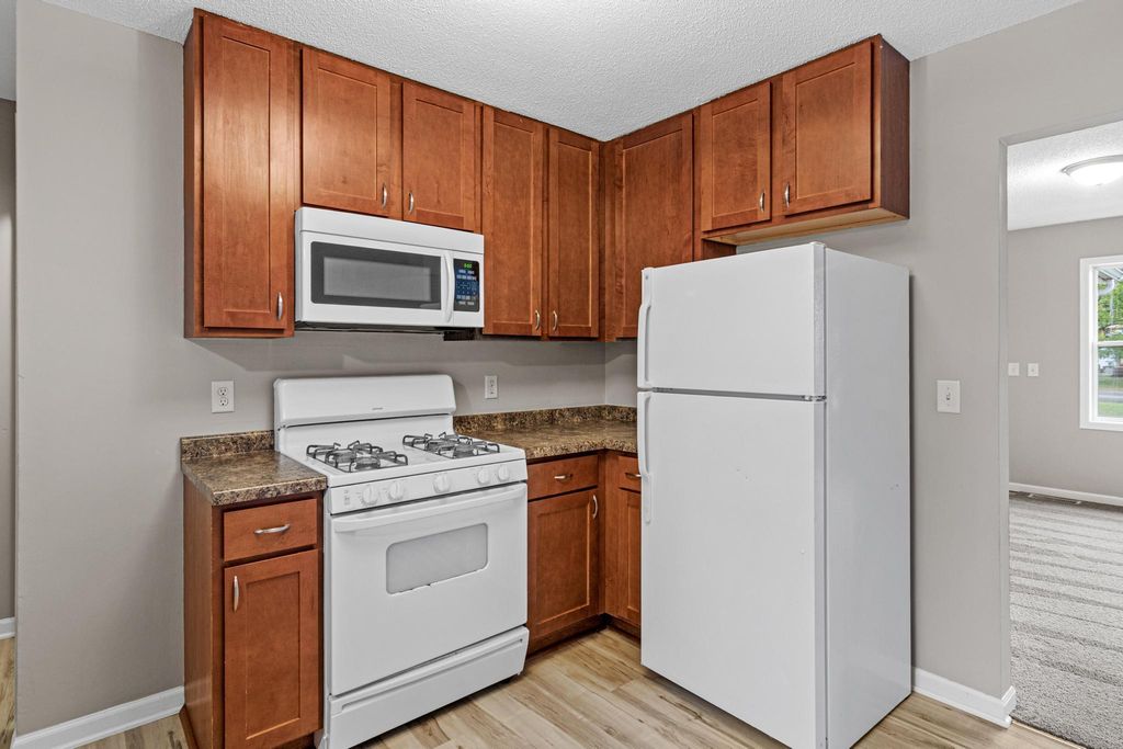 1320 132nd Avenue NE, Blaine, MN 55434 — photo 3