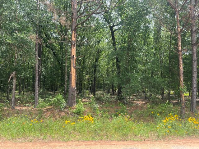 0 Oak Bend, Cleveland, TX 77328