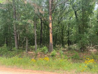 0 Oak Bend, Cleveland, TX 77328