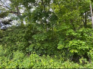 230 Vergason Avenue, Norwich, CT 06360