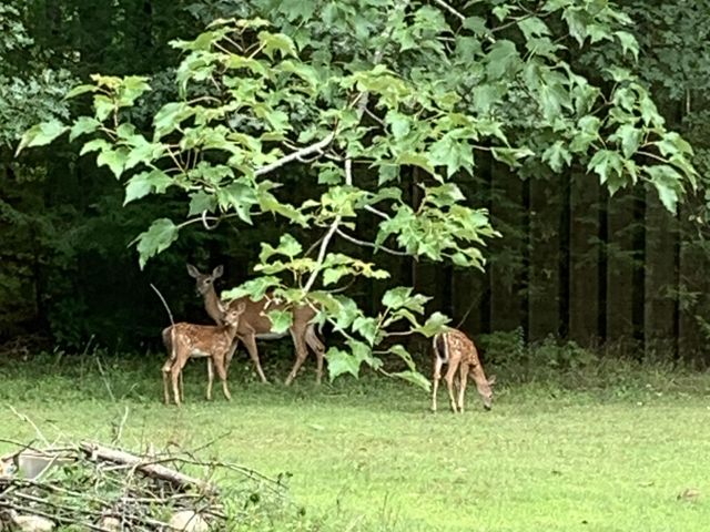 149 Golden Circle Drive, Farmington, NH 03835