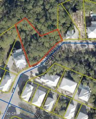 63 N Silver Maple Drive, Inlet Beach, FL 32461