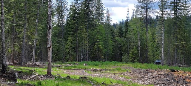 NNA Pup Paw Trail - North, Priest River, ID 83856