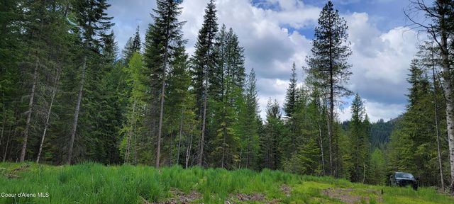 NNA Pup Paw Trail - North, Priest River, ID 83856