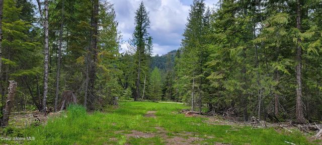NNA Pup Paw Trail - North, Priest River, ID 83856