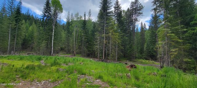 NNA Pup Paw Trail - North, Priest River, ID 83856