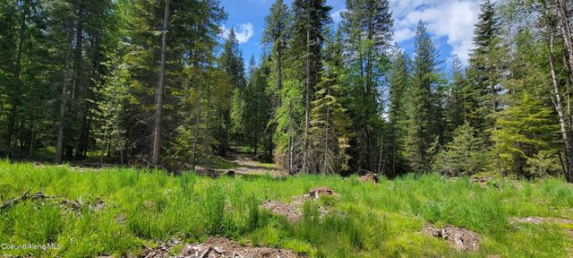 NNA Pup Paw Trail - North, Priest River, ID 83856
