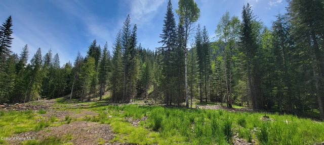 NNA Pup Paw Trail - North, Priest River, ID 83856