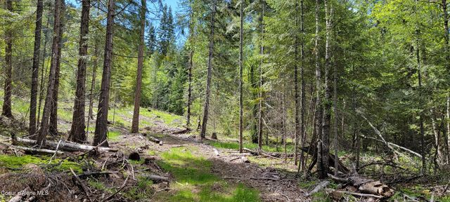 NNA Pup Paw Trail - North, Priest River, ID 83856
