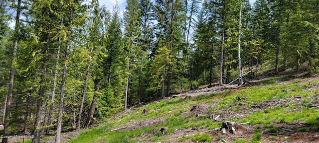 NNA Pup Paw Trail - North, Priest River, ID 83856